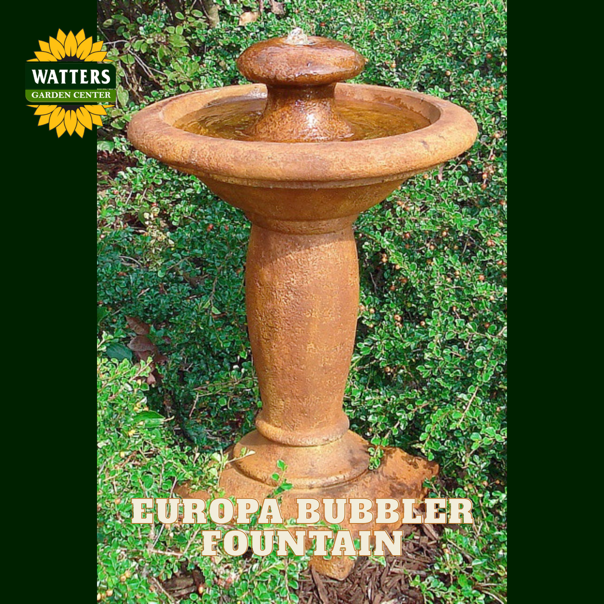 A terracotta-colored stone bird bath fountain labeled 'EUROPA BUBBLER FOUNTAIN' shown outdoors on green foliage. A Watters Garden Center logo appears in the top left corner.