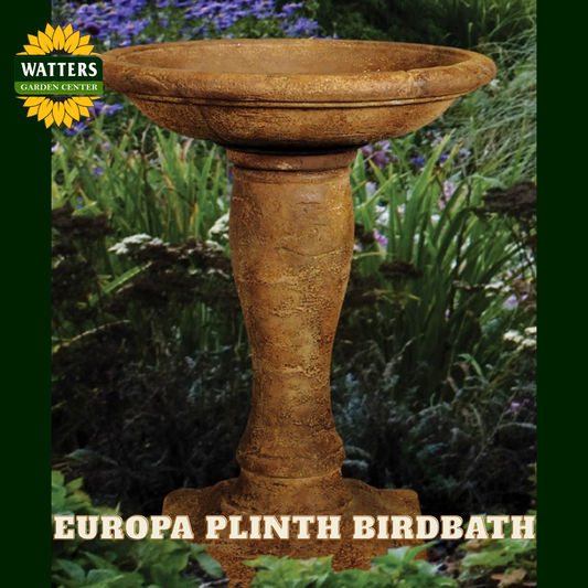 Stone birdbath with Watters Garden Center branding against a garden background
