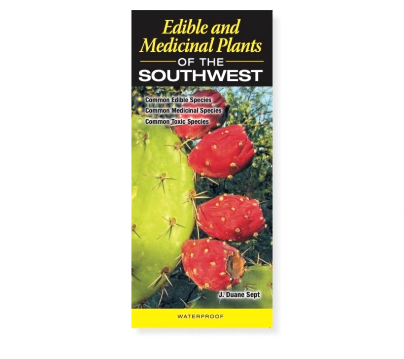 Edible and Medicinal Plants