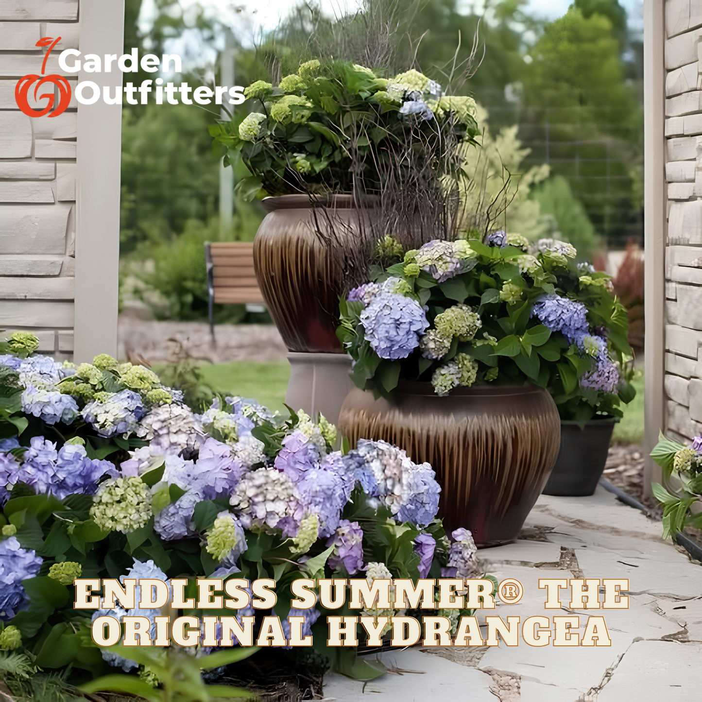 Outdoor garden scene with large brown ribbed planters filled with hydrangea foliage, including purple and white blooms. Stone walls and a garden bench are visible in the background.