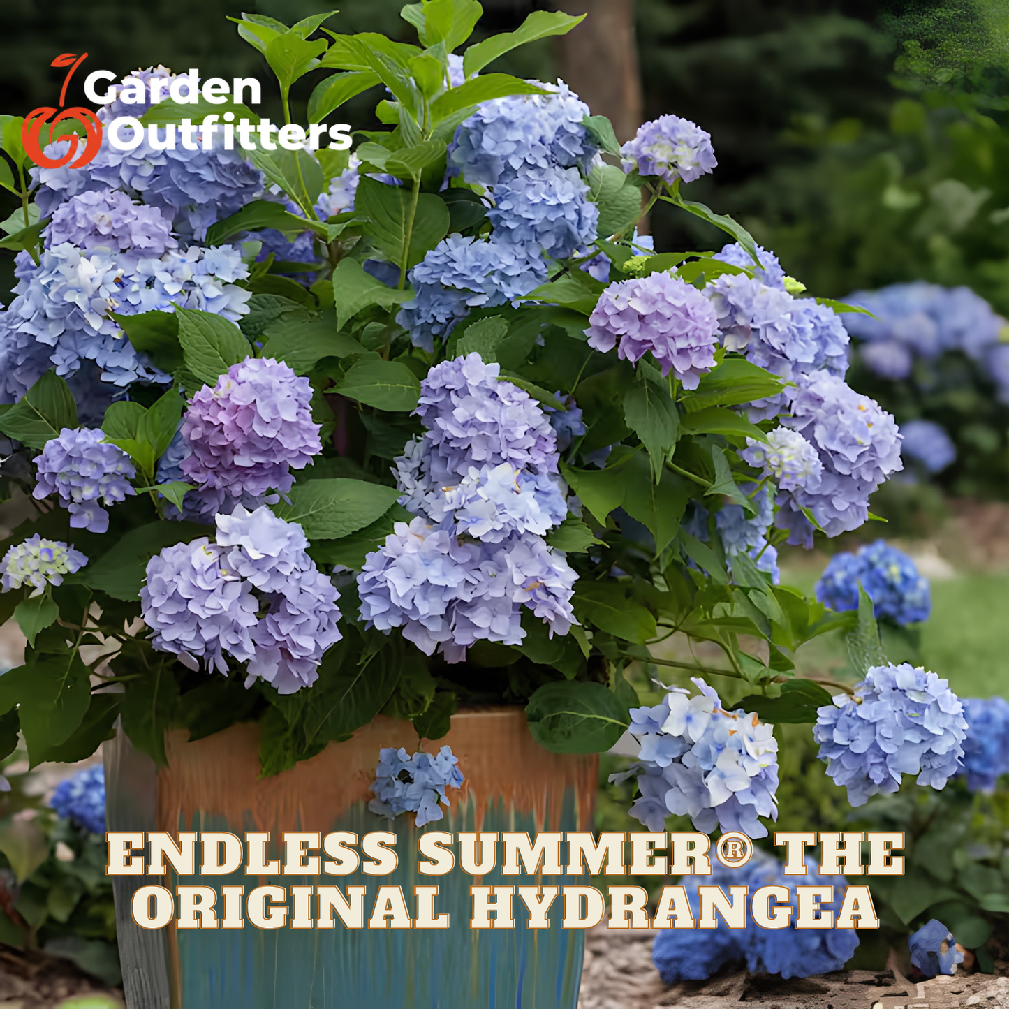A potted hydrangea with abundant light blue to lavender flower heads and green leaves, shown outdoors in a garden setting. The image includes the Garden Outfitters logo in the top left and large text at the bottom reading 'ENDLESS SUMMER THE ORIGINAL HYDRANGEA.