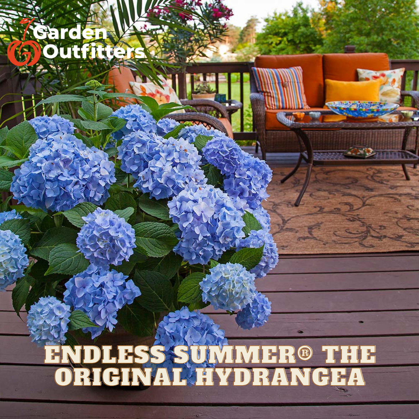 A large potted hydrangea with light blue flowers and green leaves in the foreground on a wooden deck, with patio furniture and a garden visible in the background. Text at the top left reads Garden Outfitters, and text at the bottom reads Endless Summer The Original Hydrangea.