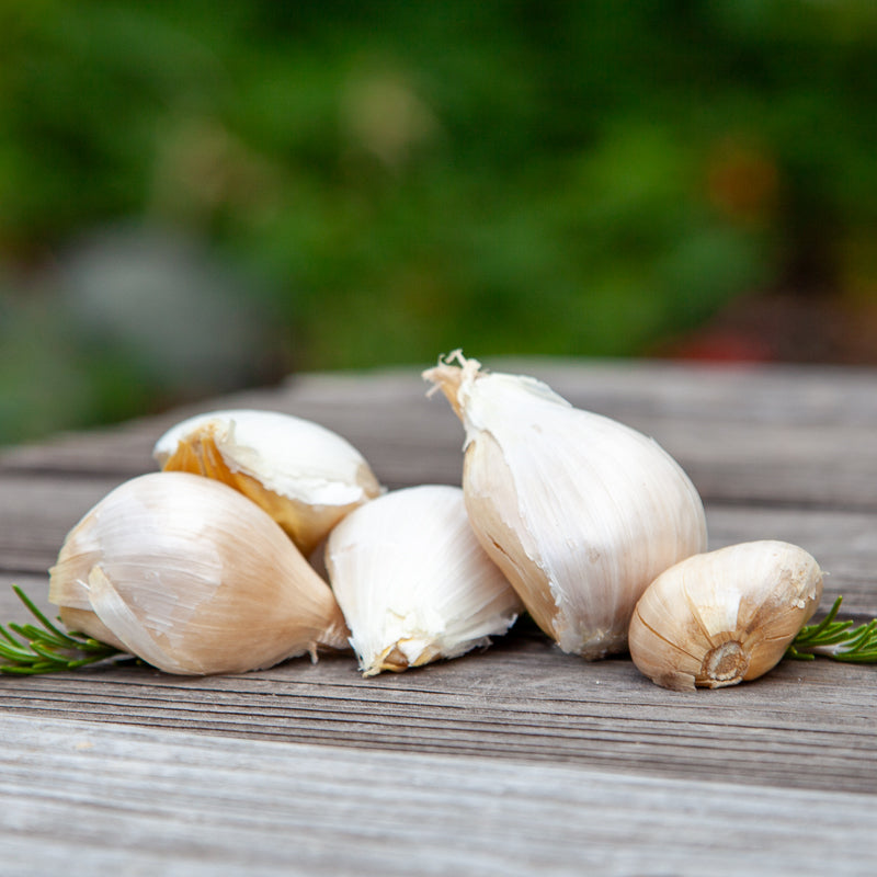Elephant Garlic (Lb)