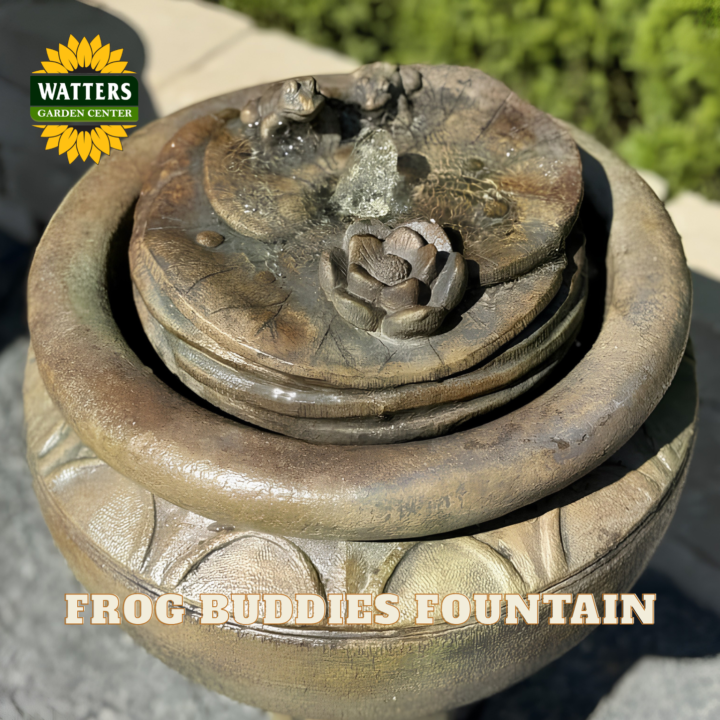 A close-up outdoor shot of a decorative fountain labeled 'FROG BUDDIES FOUNTAIN' with a Watters Garden Center logo. The fountain has a round stone-like base and lid topped with sculpted frog and lotus motifs, shown in natural daylight with blurred greenery in the background.