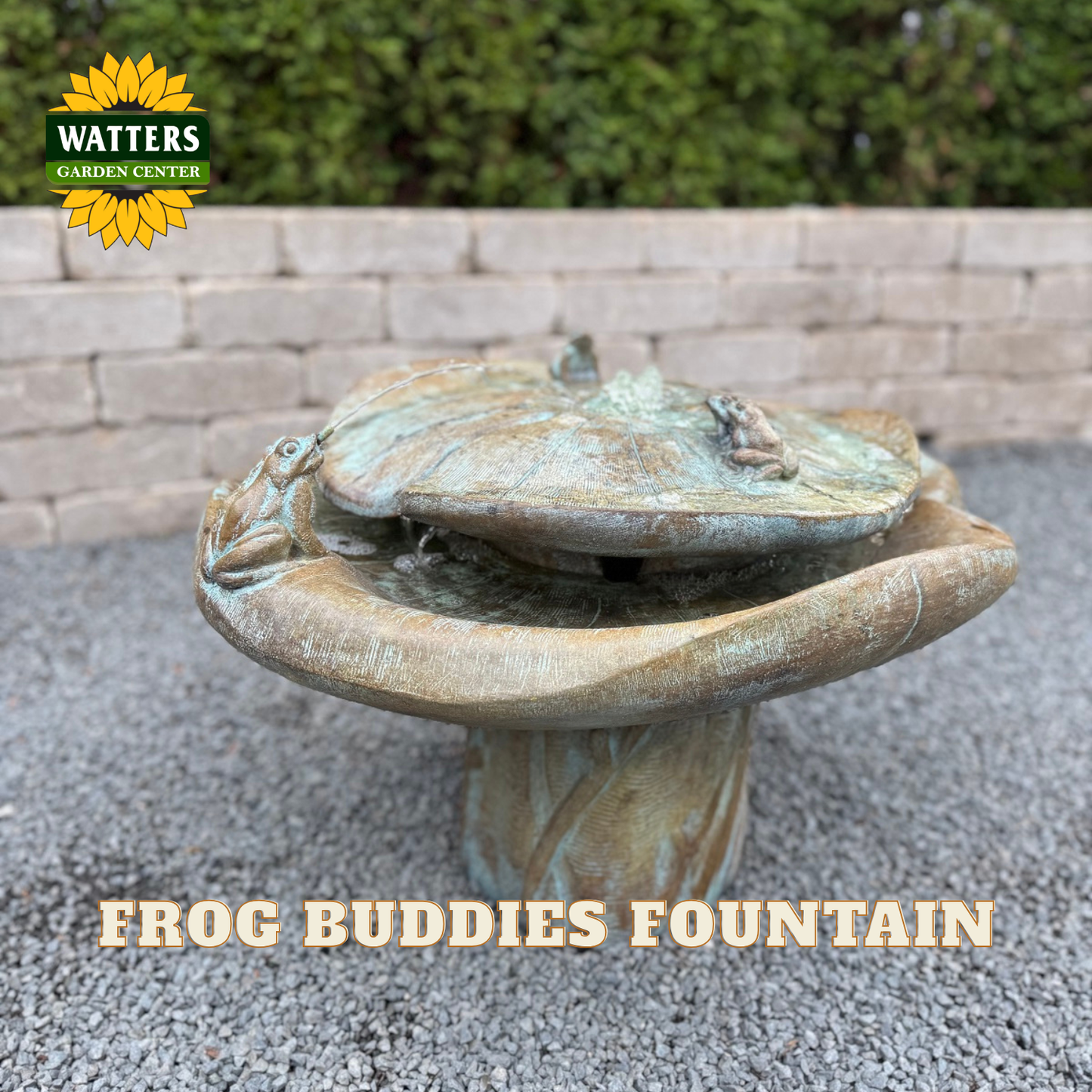 A stone frog-buddies fountain with a textured, aged greenish-brown finish, set outdoors on gravel with a brick wall and greenery in the background. A 'WATTERS GARDEN CENTER' logo is in the top-left corner, and 'FROG BUDDIES FOUNTAIN' is written at the bottom.