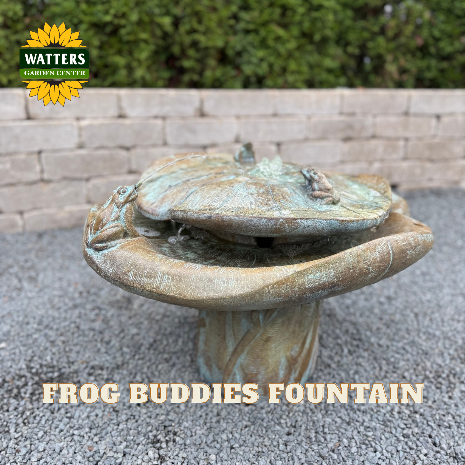 A stone frog-buddies fountain with a textured, aged greenish-brown finish, set outdoors on gravel with a brick wall and greenery in the background. A 'WATTERS GARDEN CENTER' logo is in the top-left corner, and 'FROG BUDDIES FOUNTAIN' is written at the bottom.