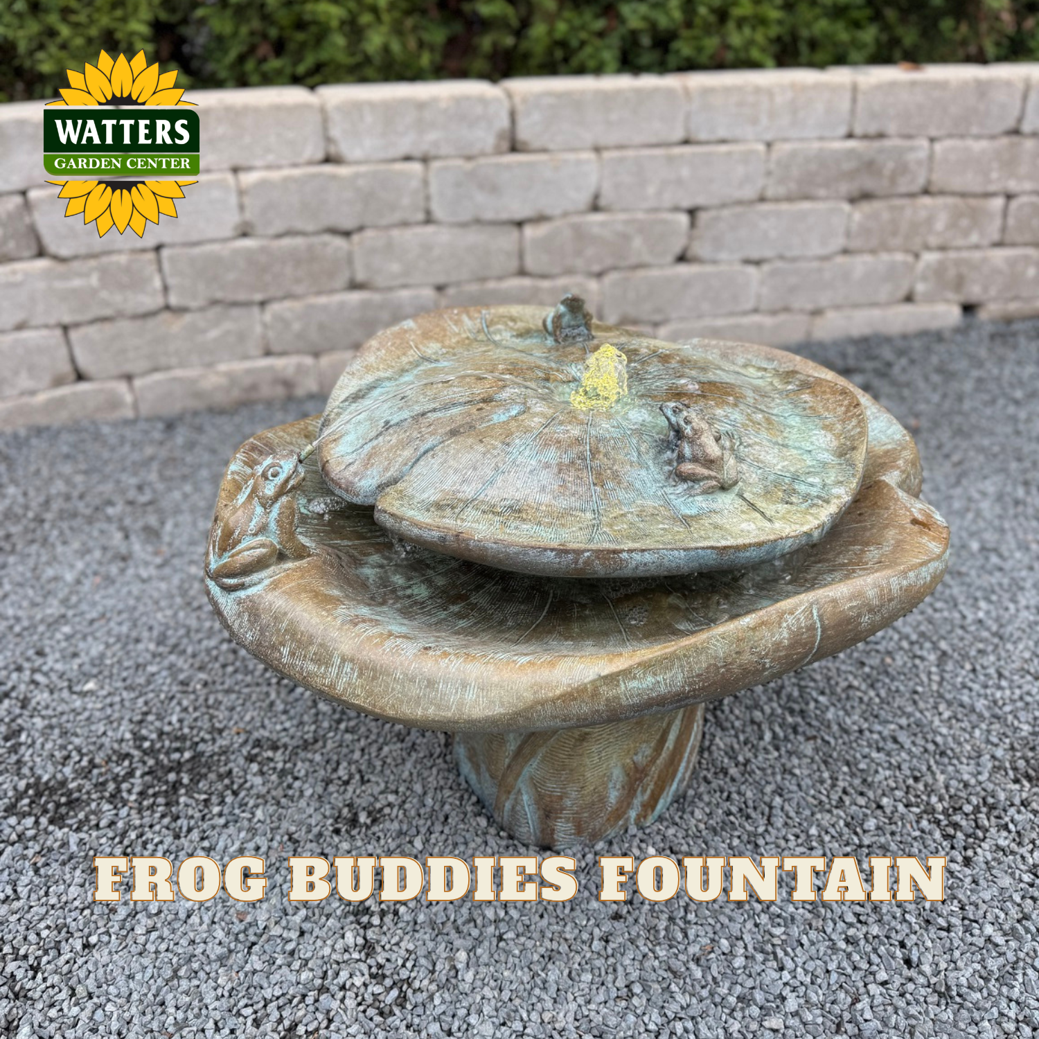 A frog-themed garden fountain with two small frog figures on a round stone-like top, set outdoors on gravel in front of a stone wall. The Watters Garden Center logo appears in the top left, and the text 'FROG BUDDIES FOUNTAIN' is overlaid at the bottom.