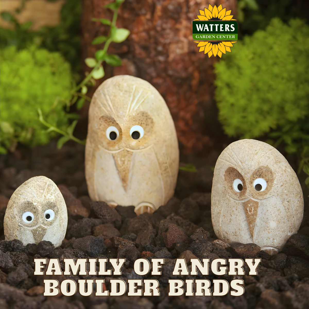 Boulder Angry Birds Family - Large 3 Pcs 6"-8"-12"