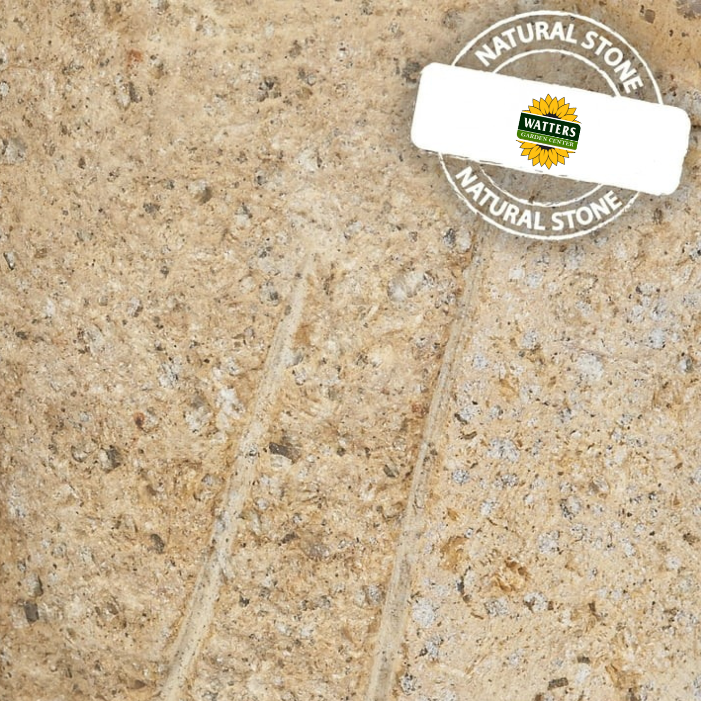 Boulder Cats Family - cute 3 Pcs 4"-6"-8"