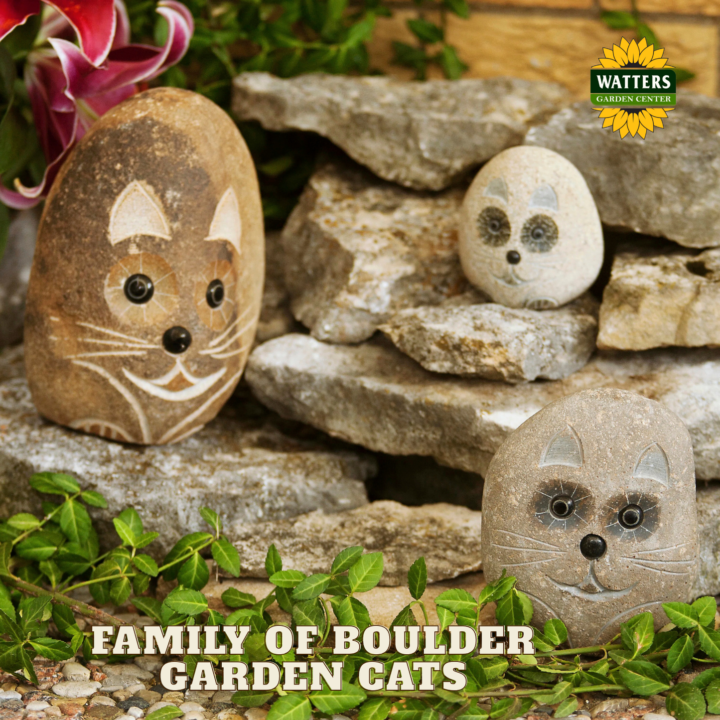 Boulder Cats Family - cute 3 Pcs 4"-6"-8"
