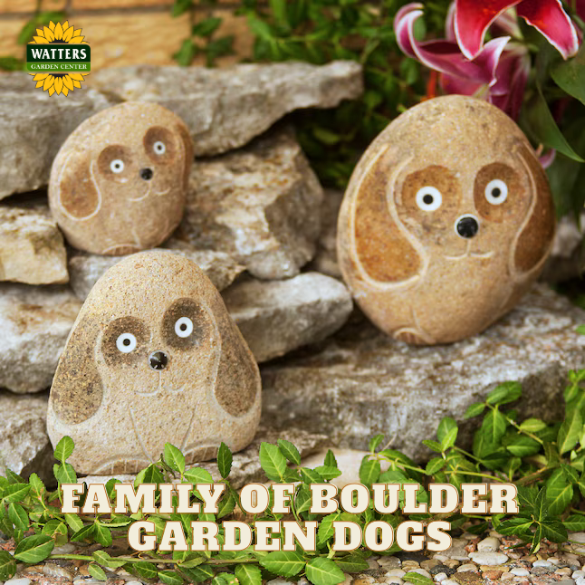 Boulder Dog Family - adorabe 3 Pcs 4"-6"-8"