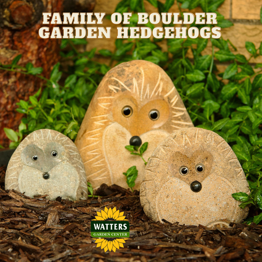 Boulder Standing Hedgehogs Family -  cute 3 Pcs 4"-6"-8"
