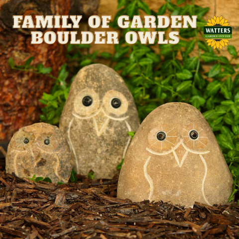Boulder Owls Family - large 3 Pcs 6"-8"-12"