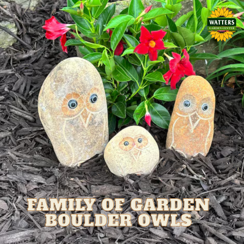 Boulder Owls Family - large 3 Pcs 6"-8"-12"