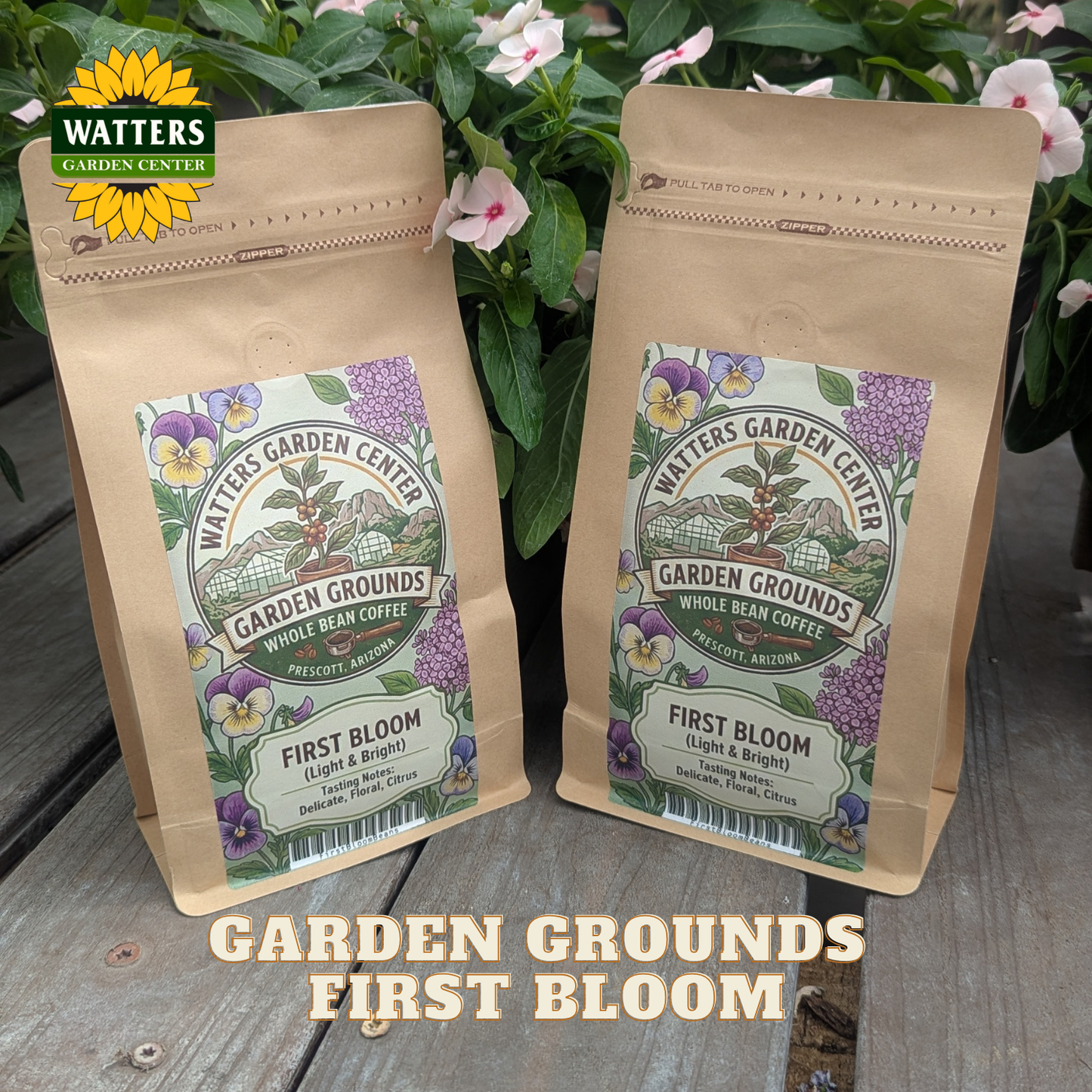 GARDEN GROUNDS FIRST BLOOM - GROUND