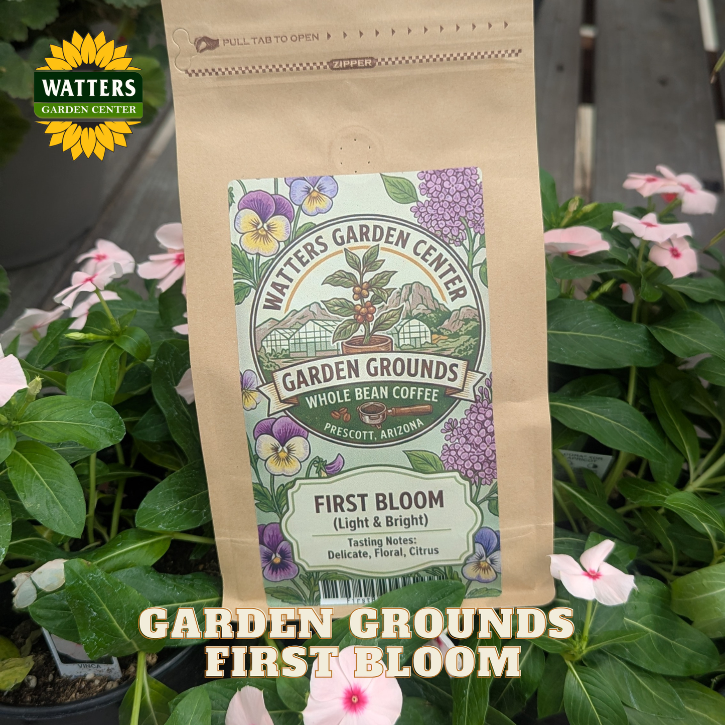 GARDEN GROUNDS FIRST BLOOM - GROUND