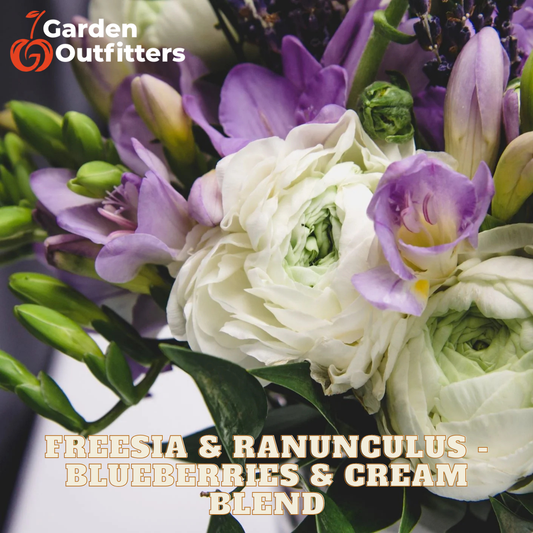 A close-up floral arrangement featuring white ranunculus, purple freesias, and green buds with text reading 'FREESIA & RANUNCULUS - BLUEBERRIES & CREAM BLEND.' Garden Outfitters logo appears in the top left.