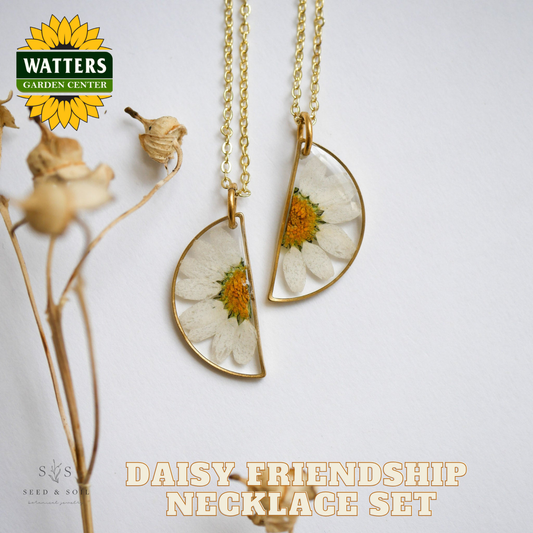 Daisy friendship necklace set with Watters Garden Center branding on a light background.