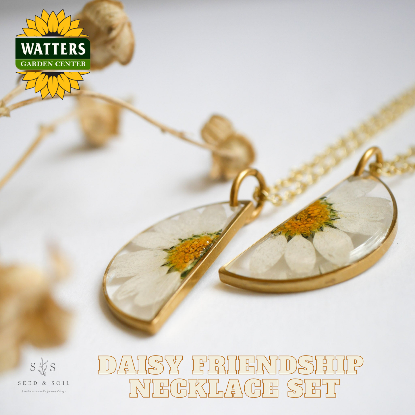 Daisy friendship necklace set with gold accents on a light background, featuring Watters Garden Center logo.