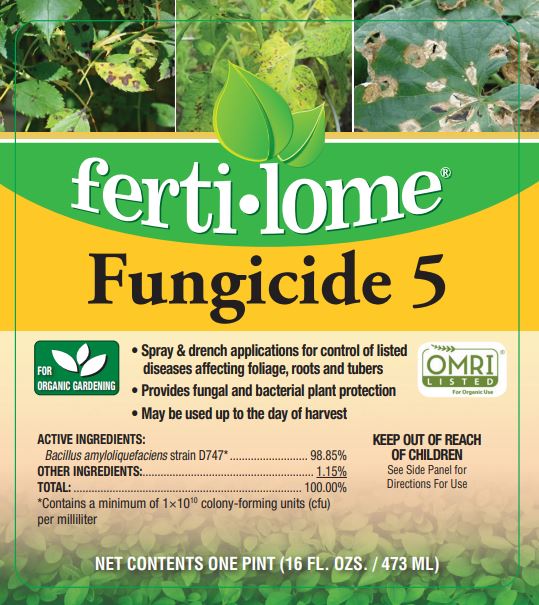 FUNGICIDE 5 CONCENTRATE 16oz