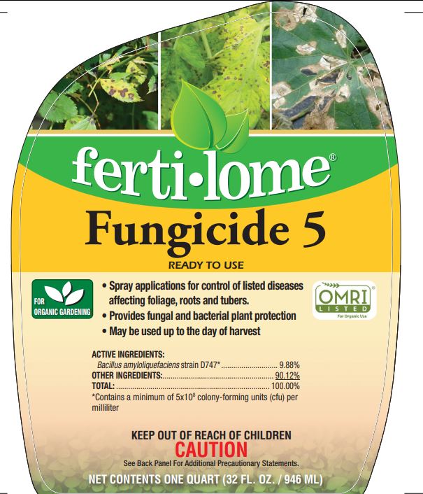 FUNGICIDE 5 READY TO USE 32oz