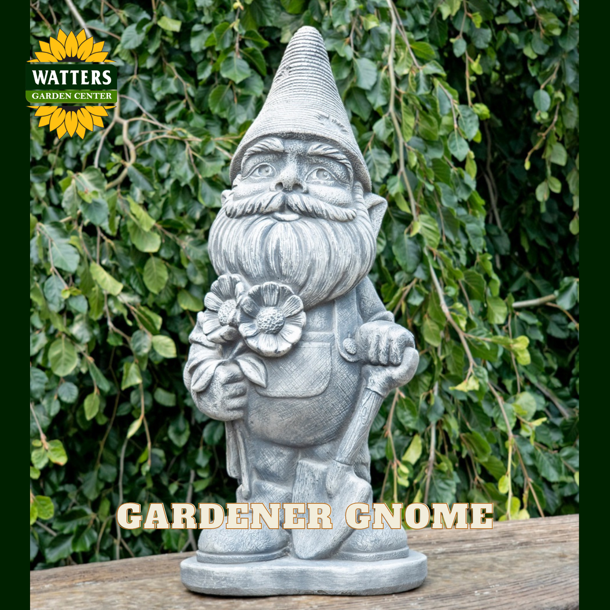 A gray garden gnome statue holding a flower and a tool, standing on a wooden surface with a leafy green hedge background. The Watters Garden Center logo is in the top-left corner, and 'GARDENER GNOME' text is at the bottom.