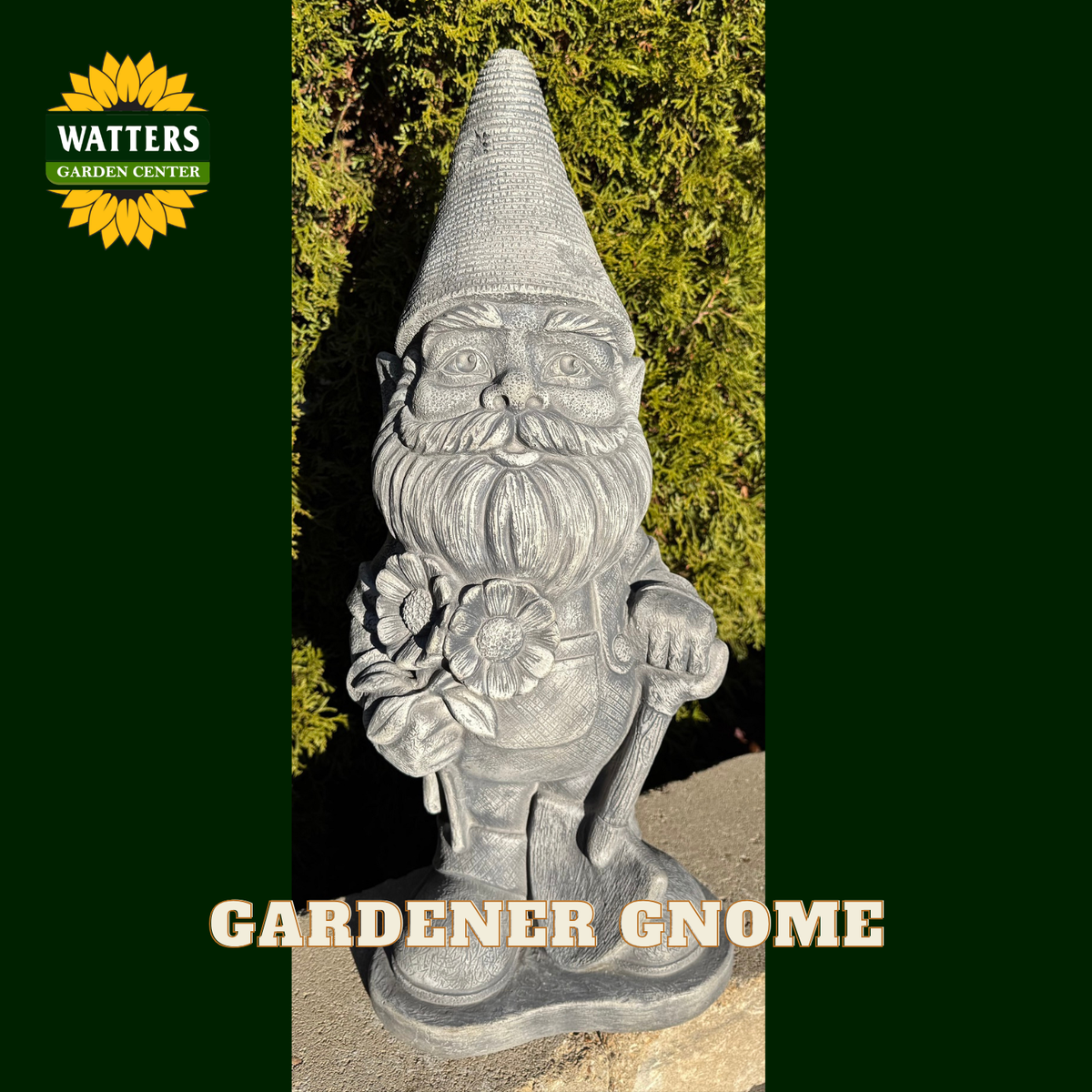 A gray stone garden gnome statue holding a flower and tool, shown outdoors in front of green foliage. The image has a dark green border with the Watters Garden Center logo in the top left and the text 'GARDENER GNOME' at the bottom.
