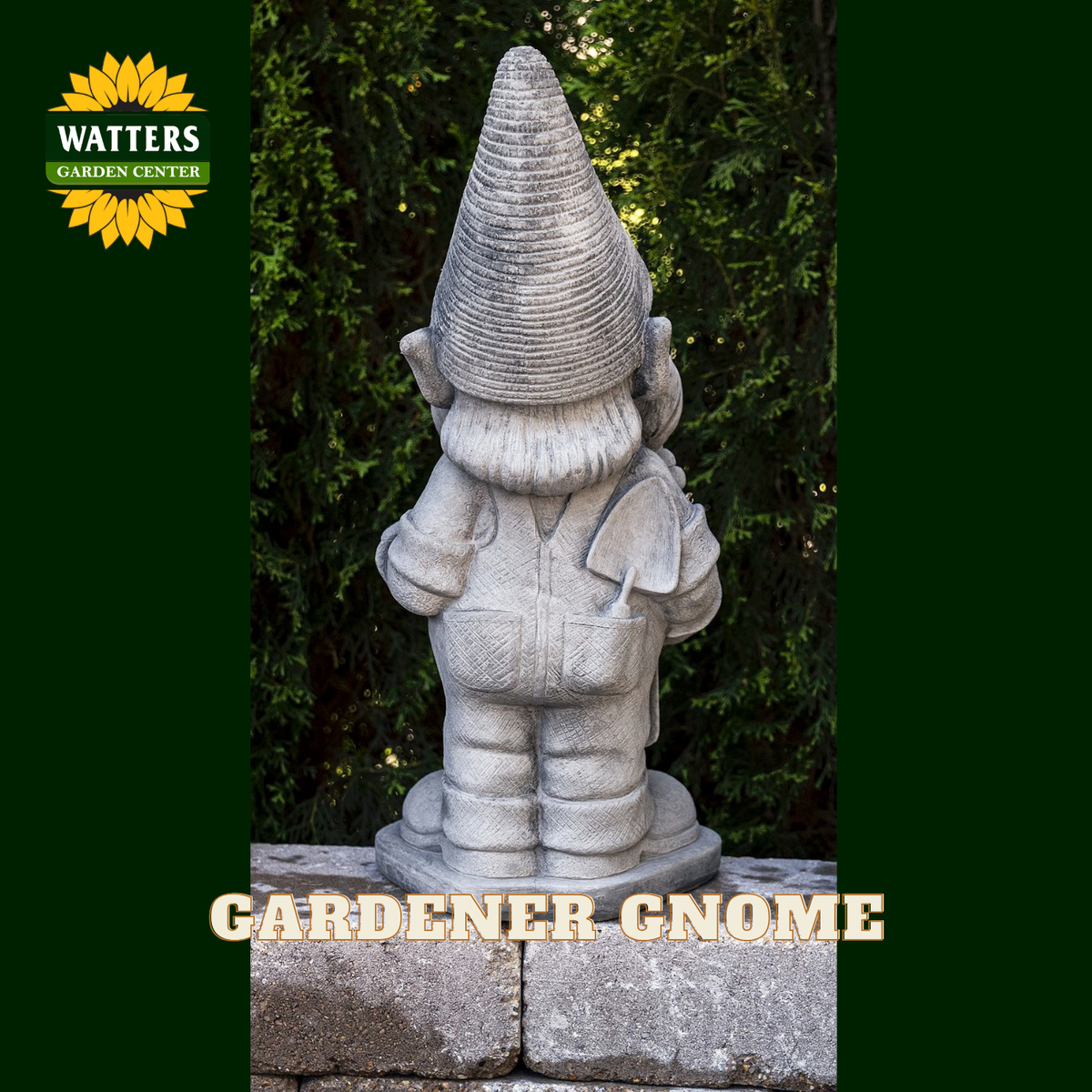 A gray stone garden gnome statue shown outdoors on a stone base with dark green foliage behind it. The image includes a Watters Garden Center logo in the top left and the words 'GARDENER GNOME' at the bottom.