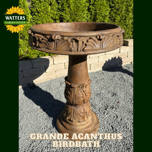 Decorative bird bath with floral carvings on a gravel surface, branded with Watters Garden Center.
