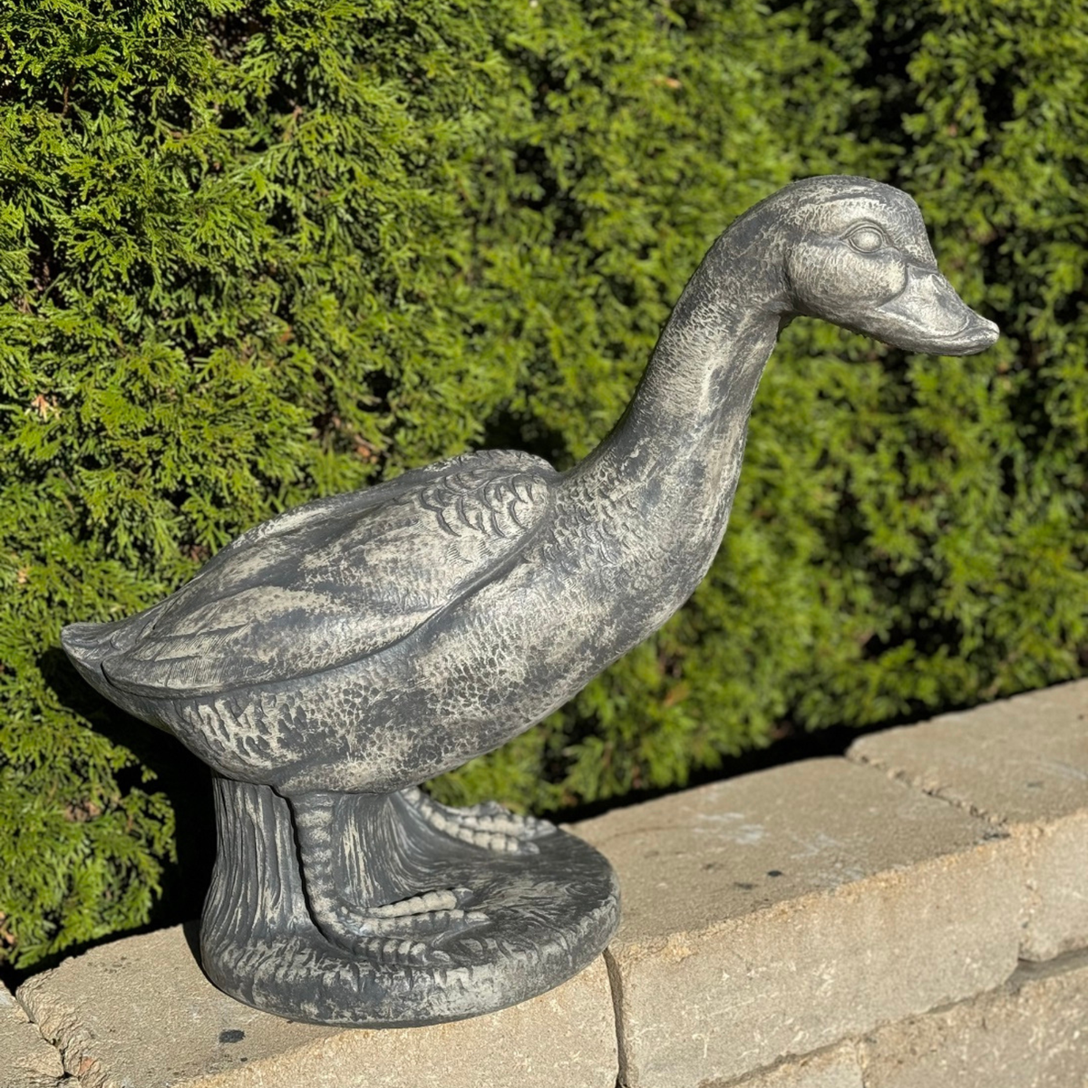 A gray cast-iron duck garden statue with a textured, weathered finish, displayed outdoors on a stone ledge with a green hedge background.