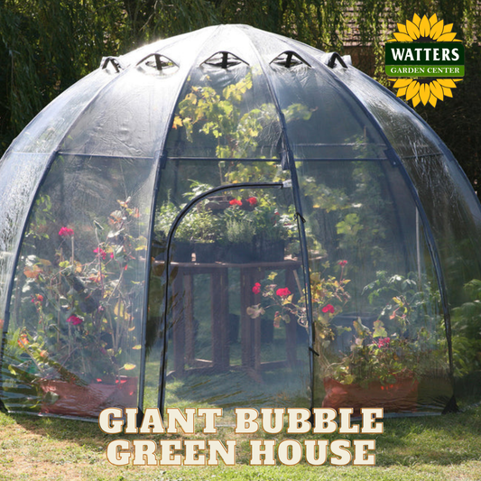 Giant Bubble Green House 137.8"D x 86.6"H