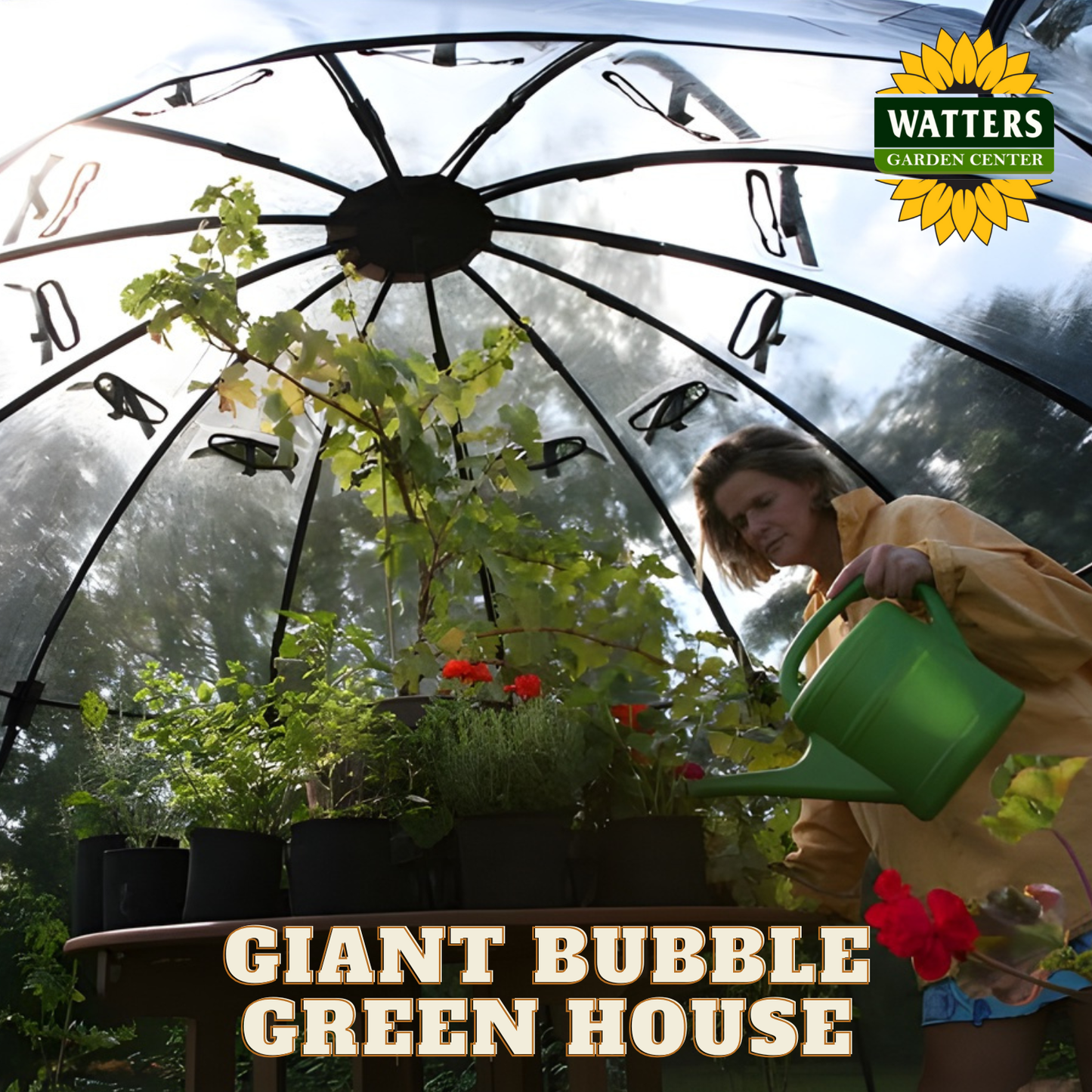 Giant Bubble Green House 137.8"D x 86.6"H
