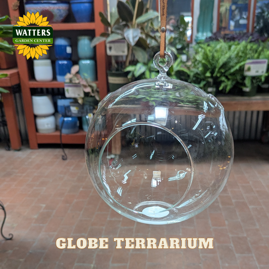 Clear round terrarium in a store setting with Watters branding.