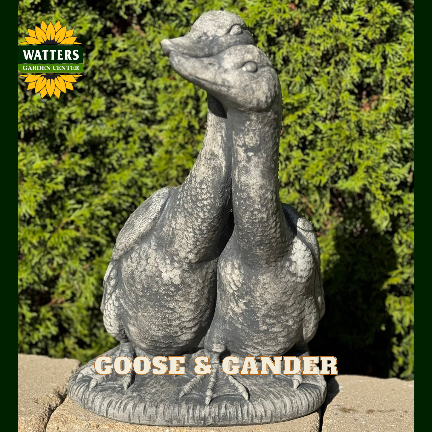 A gray stone-style garden statue of two geese standing together on a base, photographed outdoors in front of green foliage. The Watters Garden Center logo appears in the top-left corner, and the text 'GOOSE & GANDER' is overlaid across the bottom.