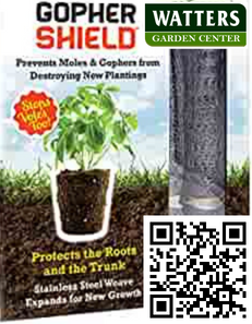 GOPHER SHIELD PLANT PROTECTOR 1 gallon