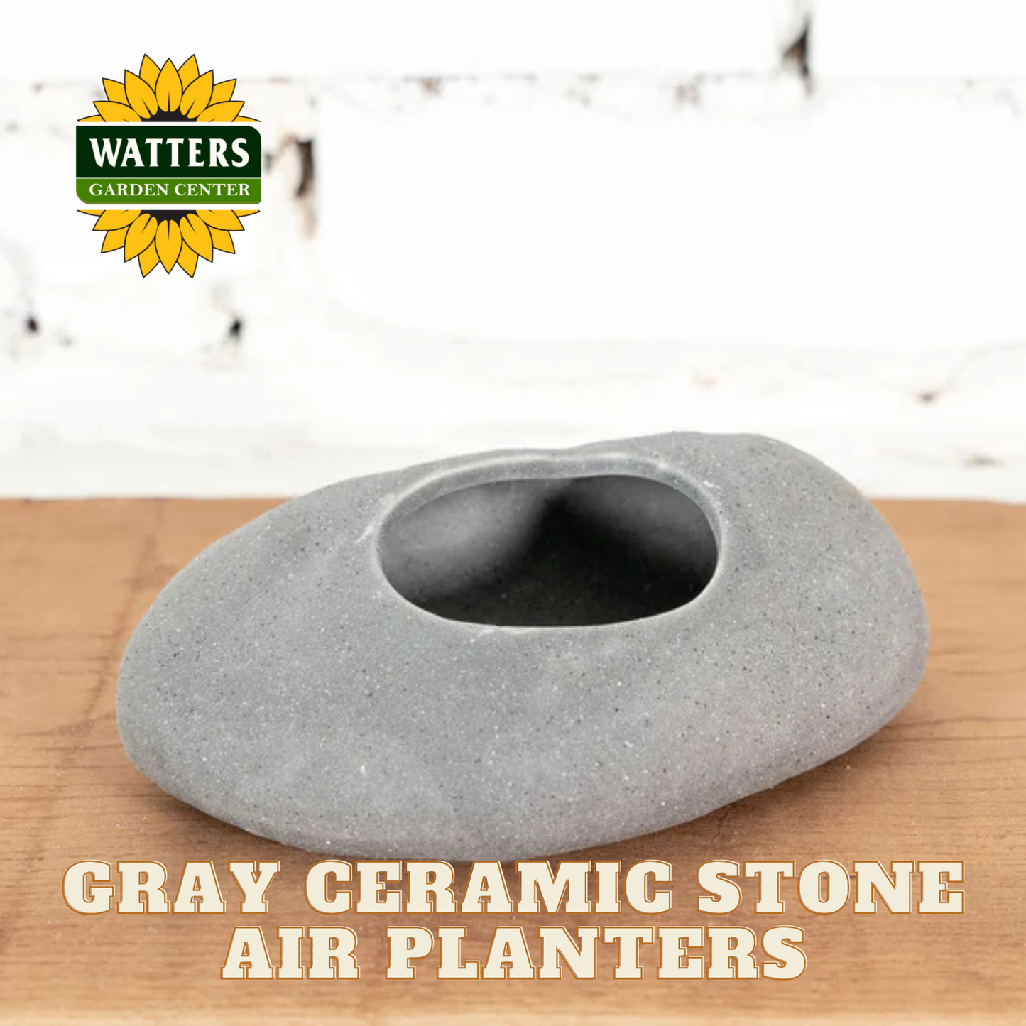 Gray ceramic stone air planter on a wooden surface with Watters Garden Center branding.