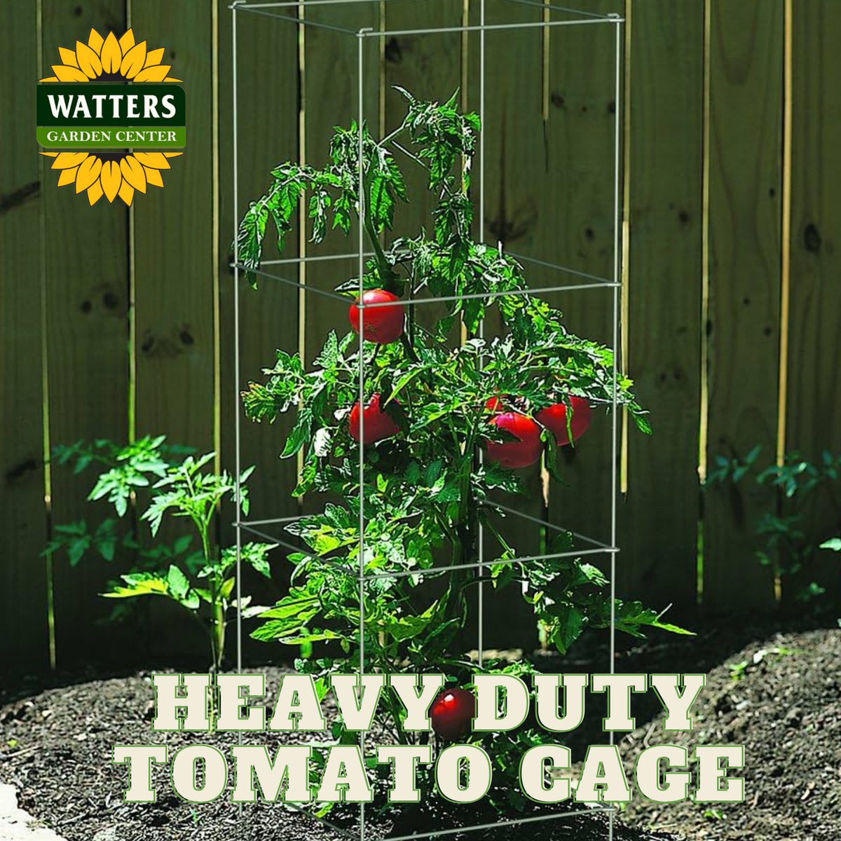 HEAVY DUTY TOMATO CAGE GREEN 47in