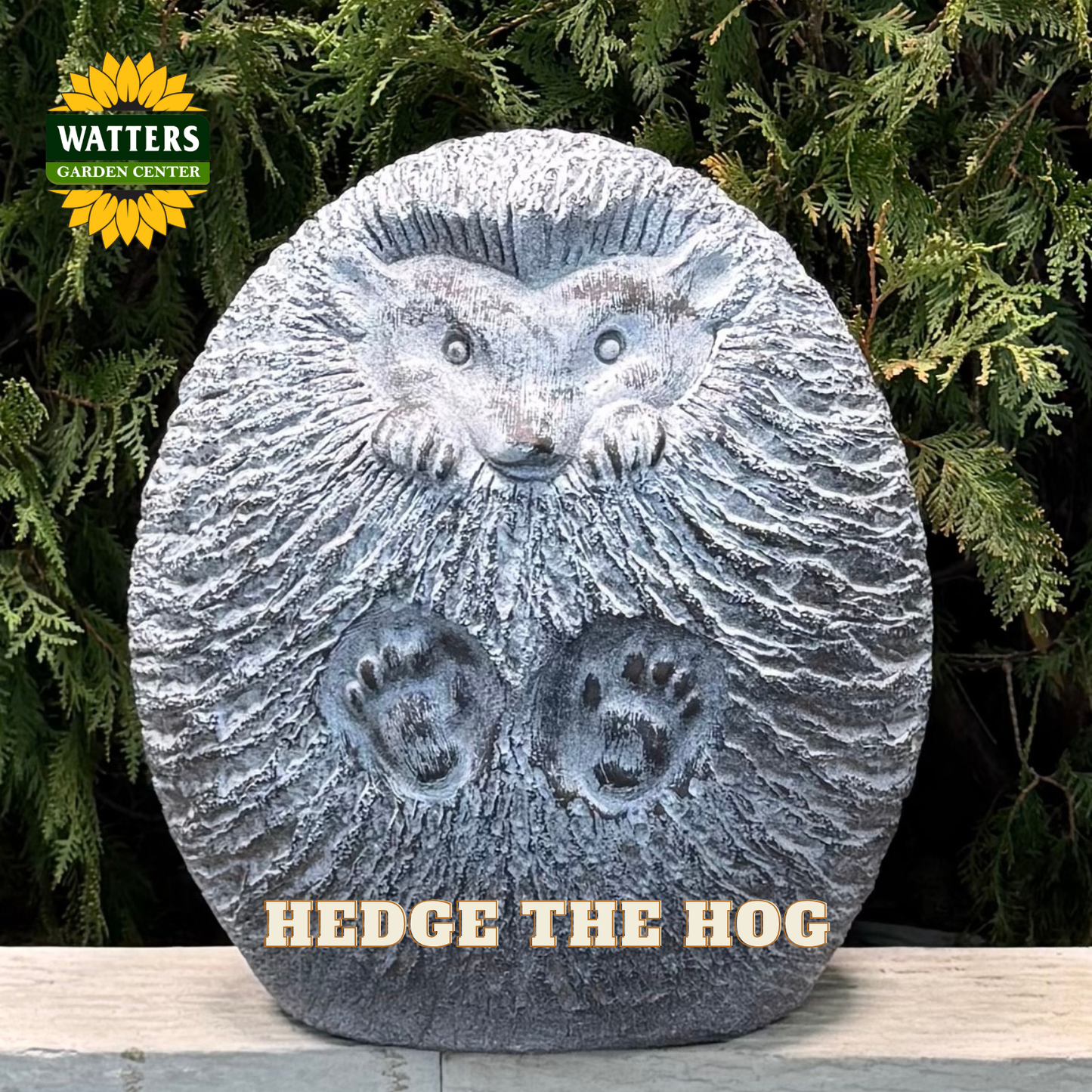 A gray stone hedgehog garden statue with textured fur, raised paws, and footprints, displayed outdoors in front of green foliage. The text 'HEDGE THE HOG' appears at the bottom, and the Watters Garden Center logo is in the top left corner.