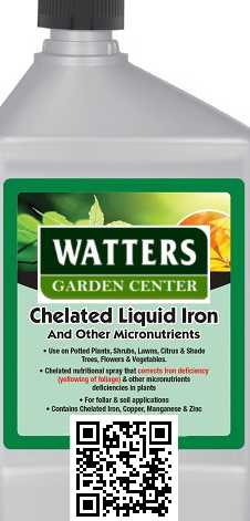 CHELATE LIQUID IRON 16oz