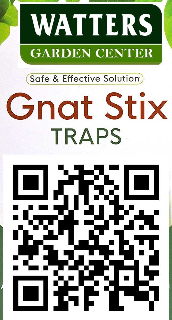 GNAT STIX TRAPS 12pk
