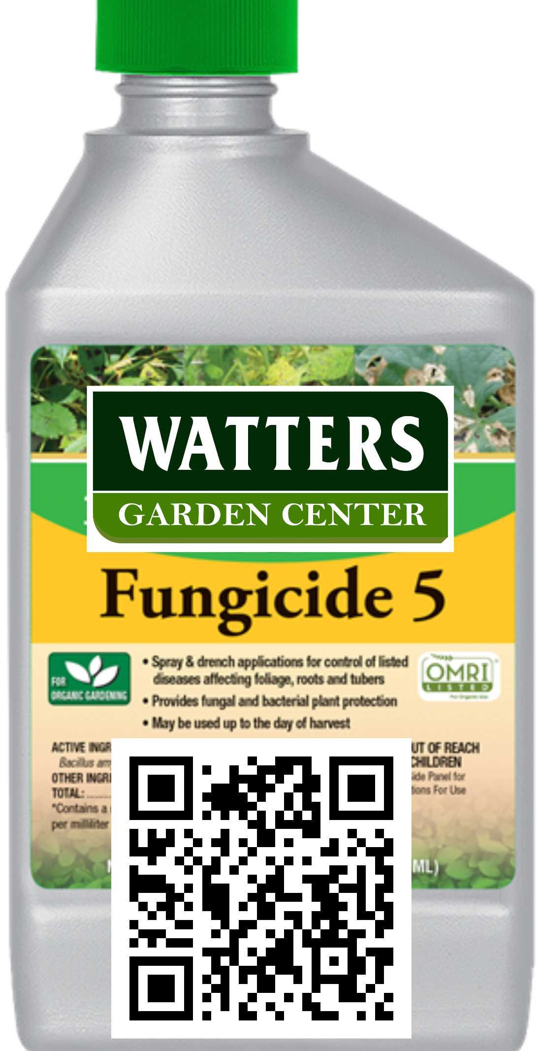 FUNGICIDE 5 CONCENTRATE 16oz