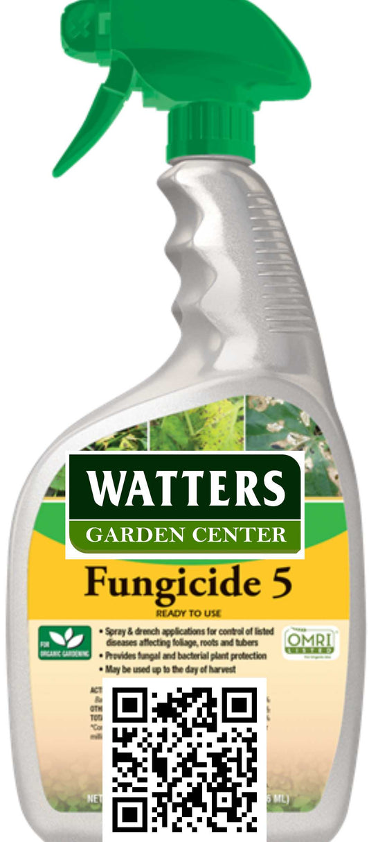 FUNGICIDE 5 READY TO USE 32oz