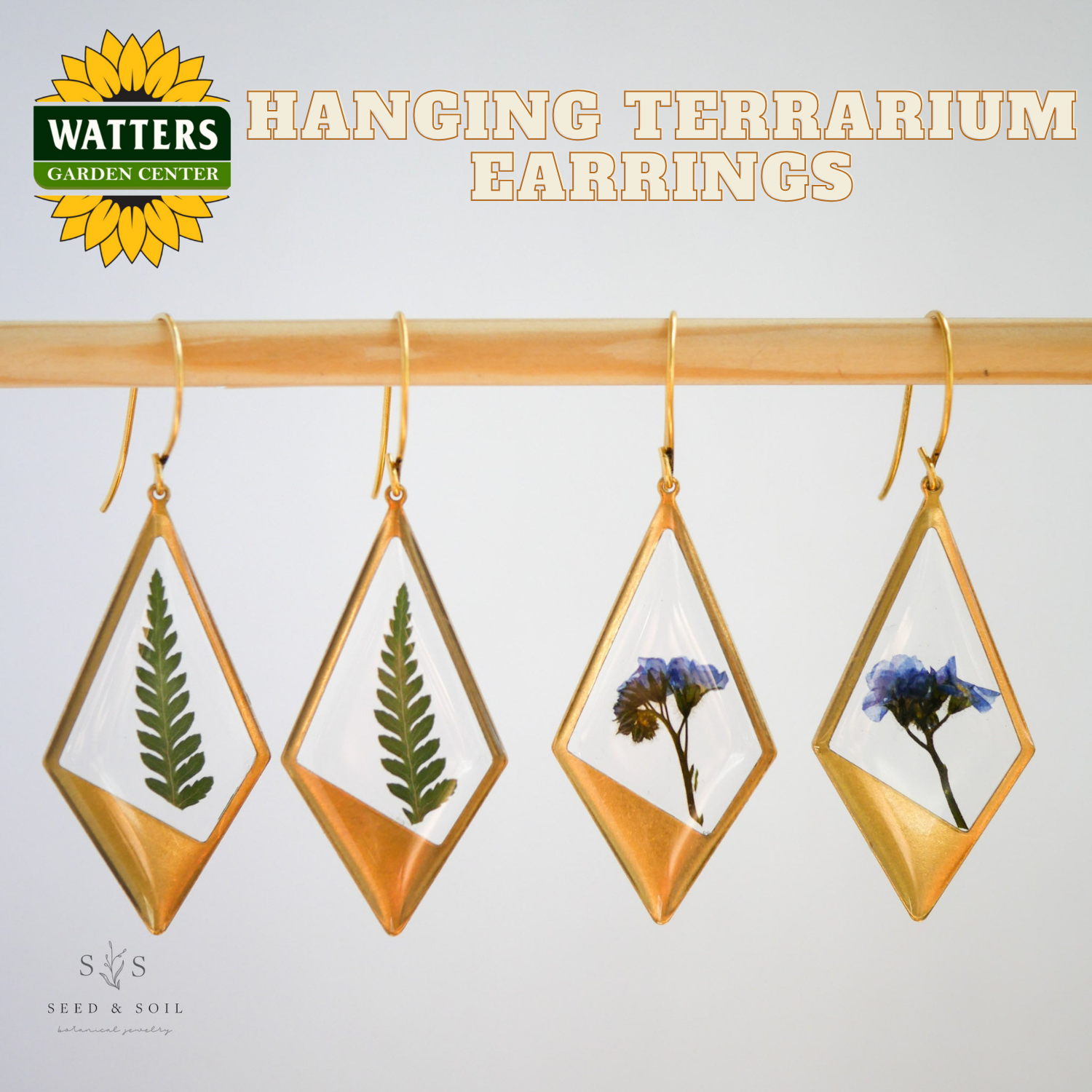 Hanging terrarium earrings with plants, displayed on a stand with Watters Garden Center branding.
