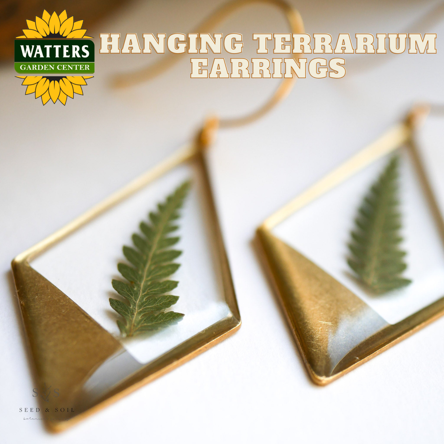 Hanging terrarium earrings with gold frames and green leaves, displayed on a white background with Watters Garden Center branding.