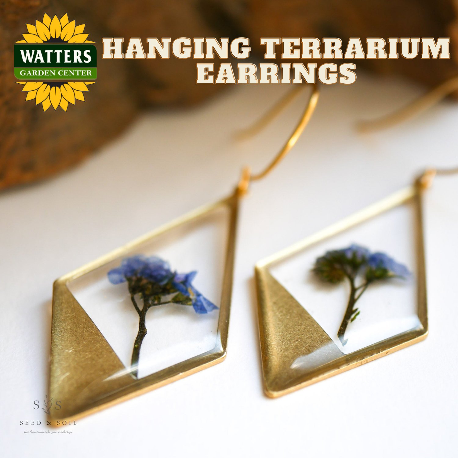 Hanging terrarium earrings with gold frames and blue flowers, branded with Watters Garden Center.