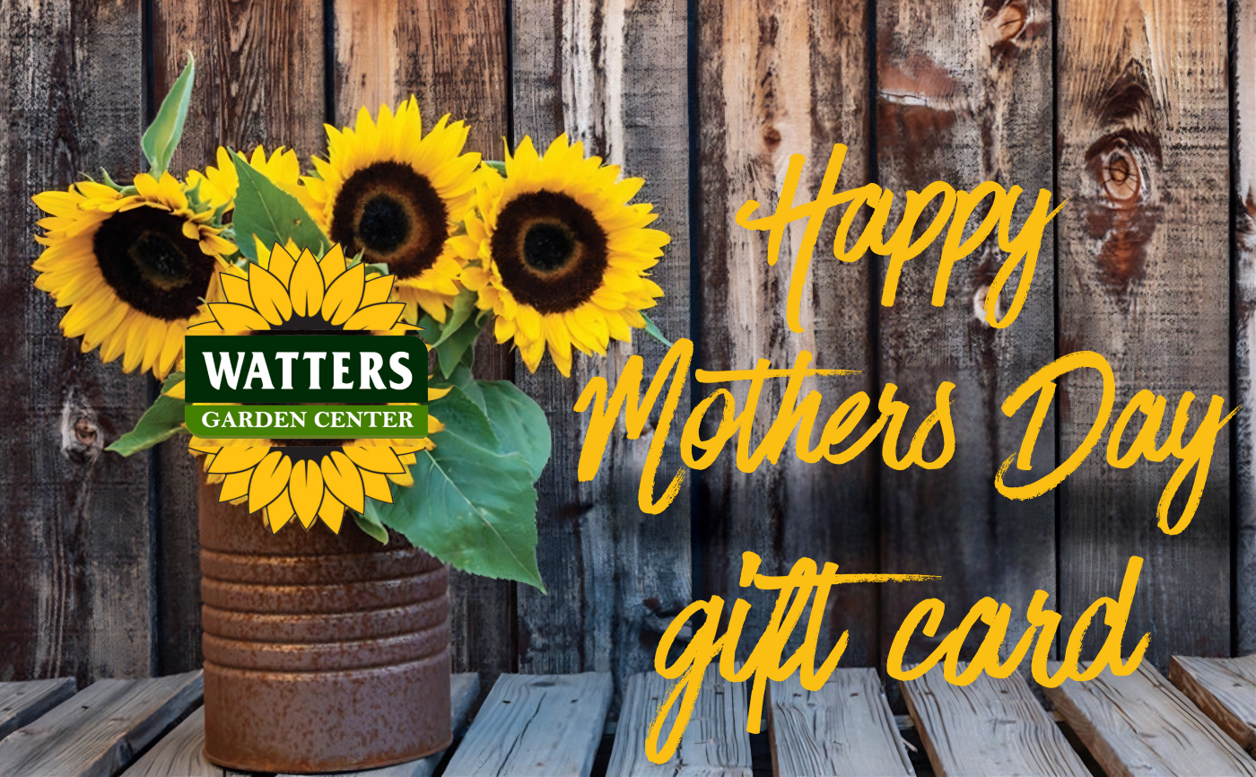 Watters Garden Center Gift Card