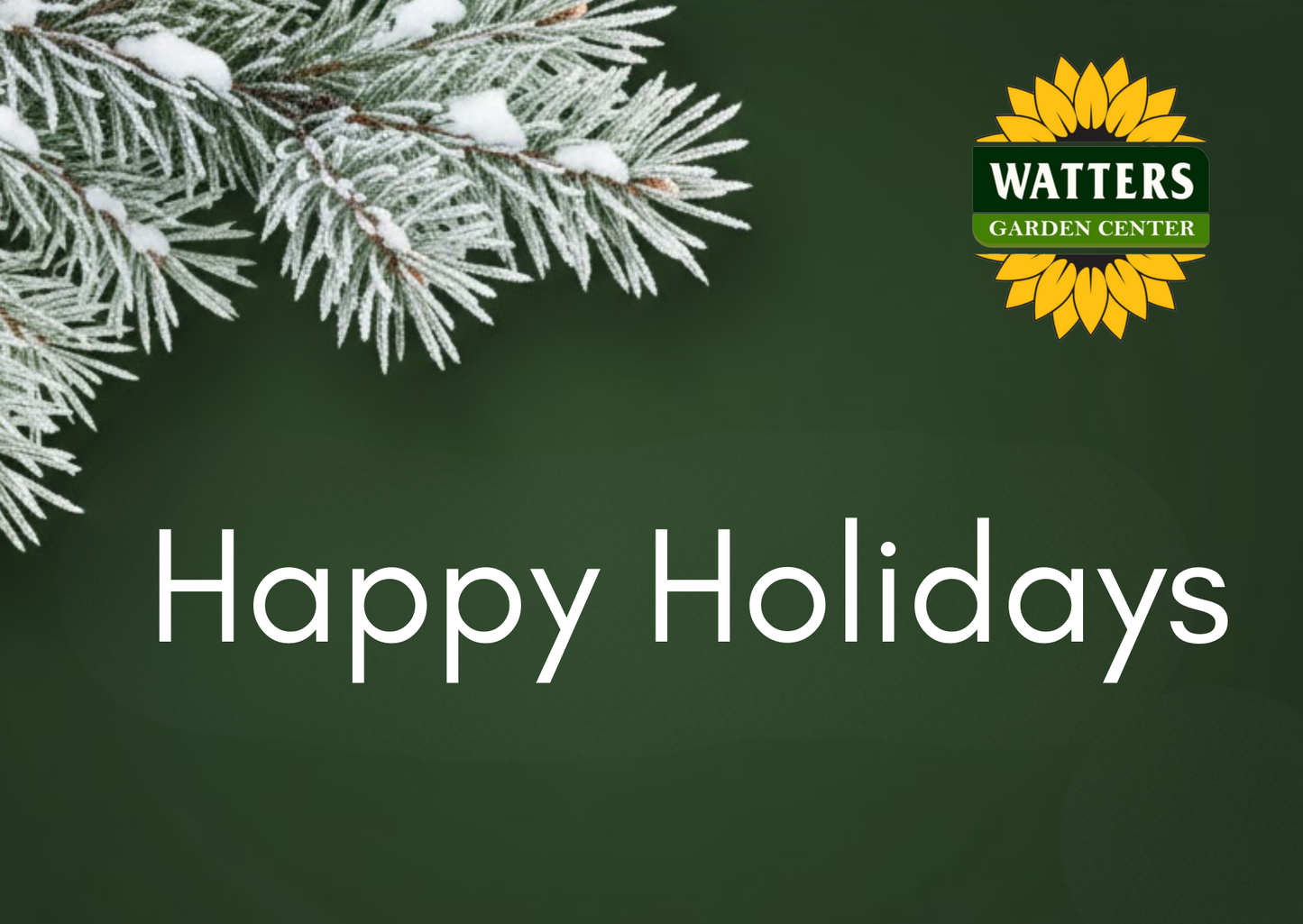 Holiday Garden Gift 🎄