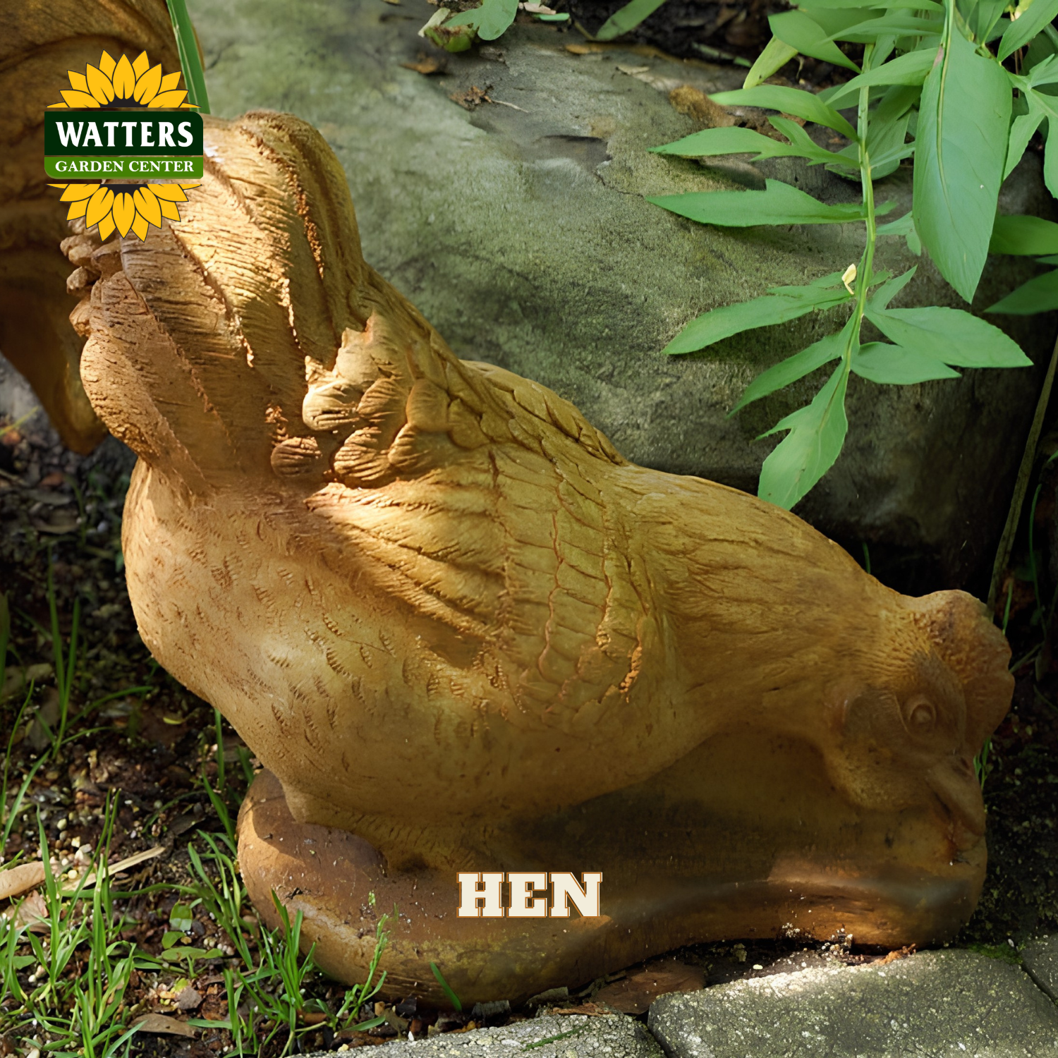 A carved garden statue of a hen in a natural outdoor setting, with green plants and soil in the background. The Watters Garden Center logo is visible in the top left corner, and the word 'HEN' is overlaid at the bottom.