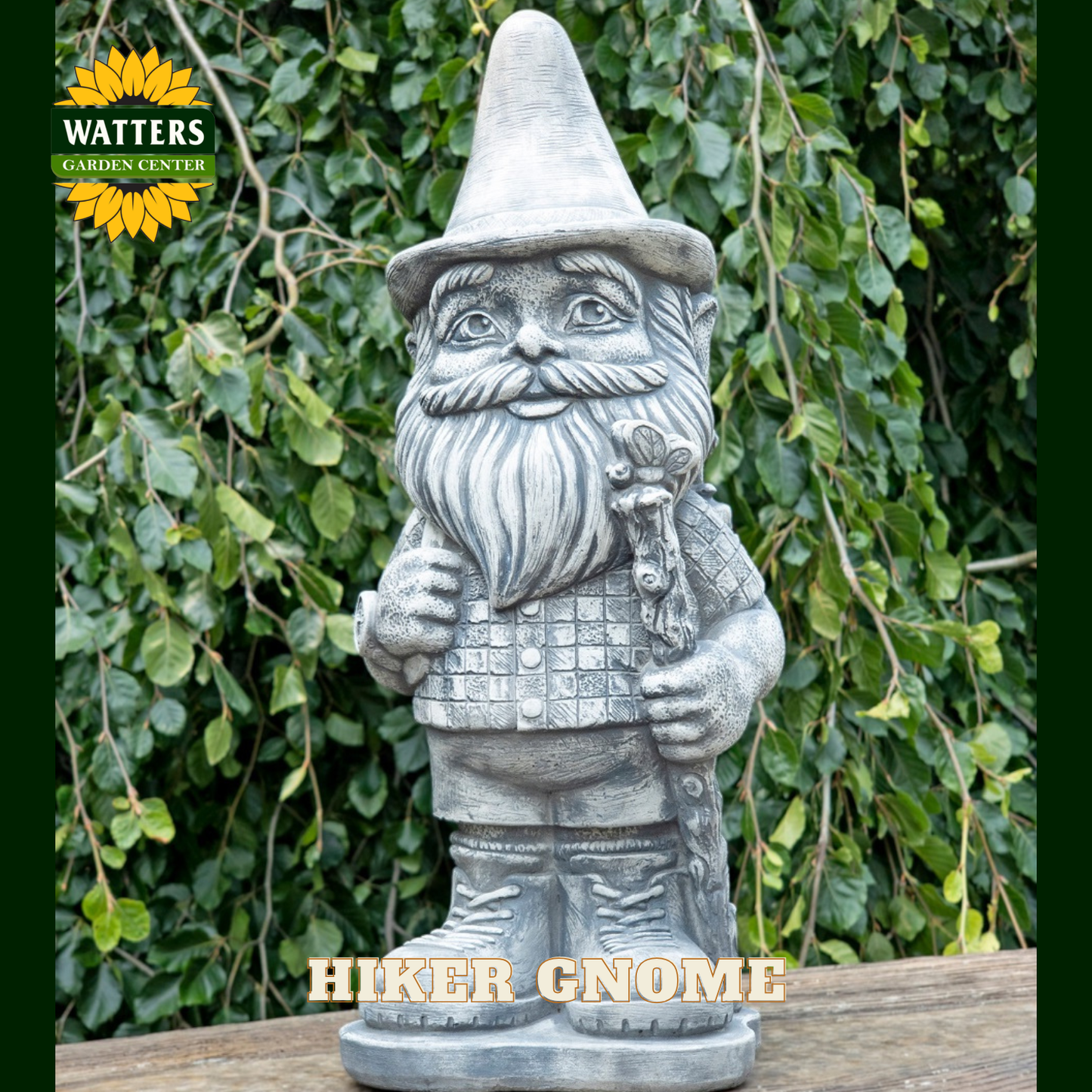 Gnome in hiking clothes in a garden with Watters branding.