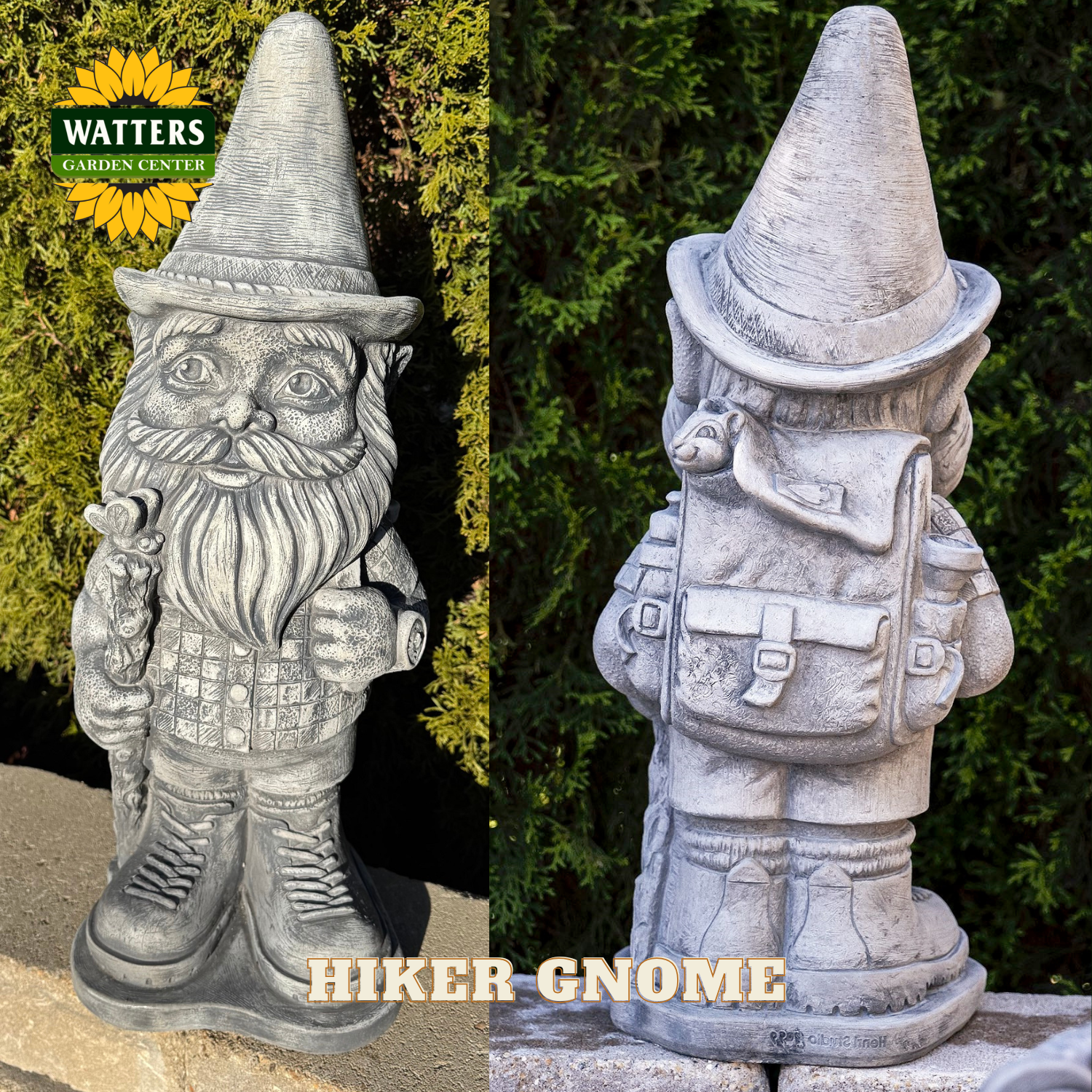 Front and back view of gnome in hiking clothes in a garden with Watters branding.